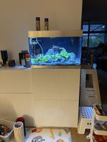 Aquarium  mit Unterschrank und Zubehoer