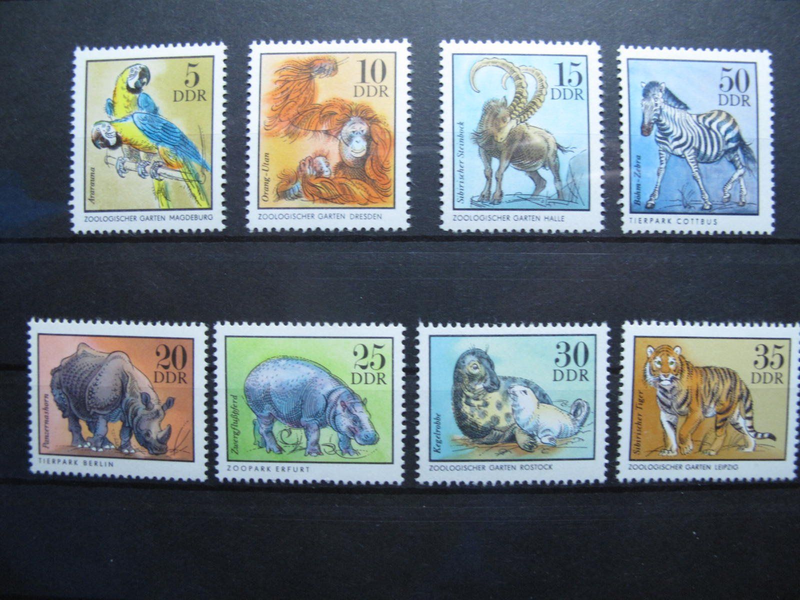Tutti i francobolli: DDR 1975 Zootiere ** – Usato da Wil SG venduto da fva01