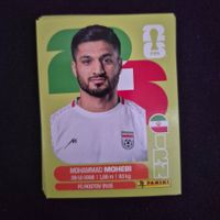 IRN 16 Panini FIFA WM 2026