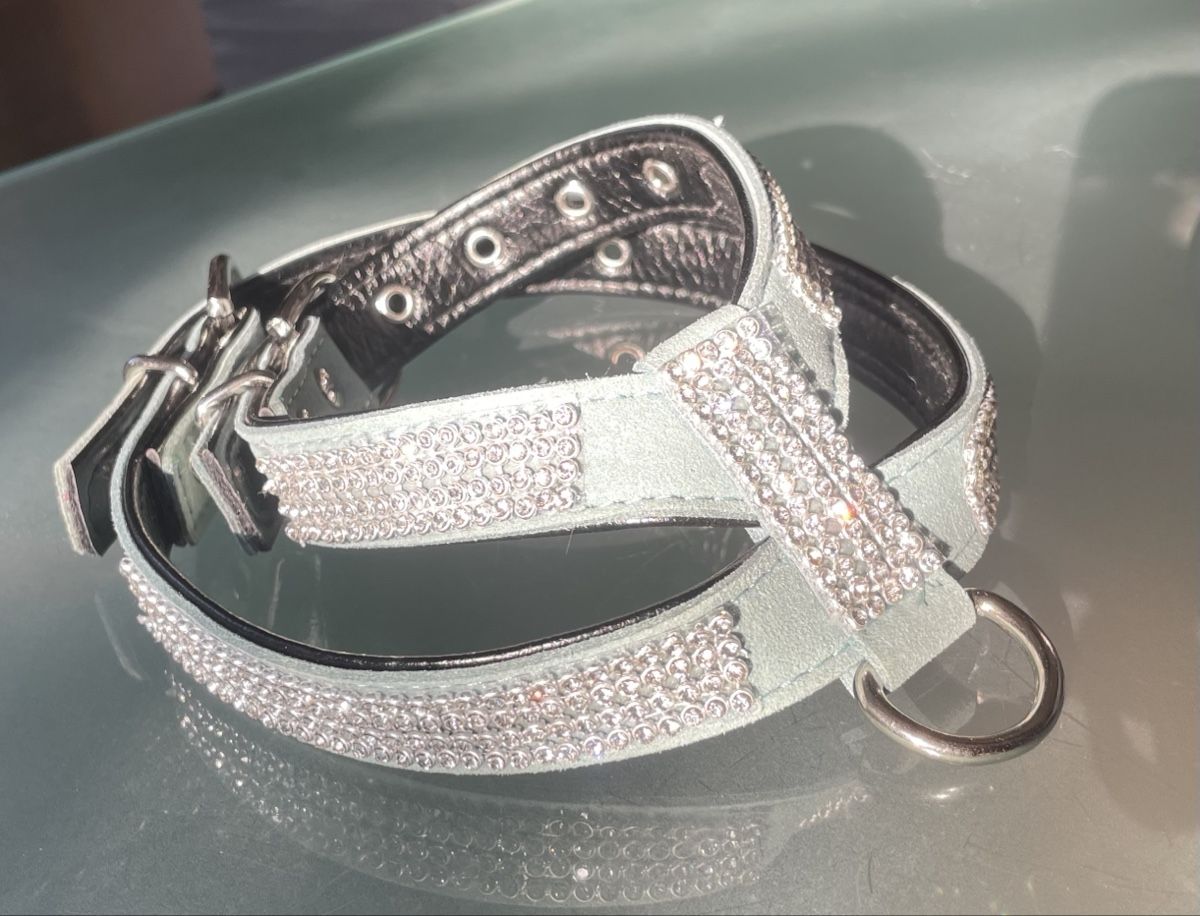 Collier et laisse: Hundehalsband mit Steinen Grösse S neu – Neuf (Voir description) à Pfyn par Goodsell