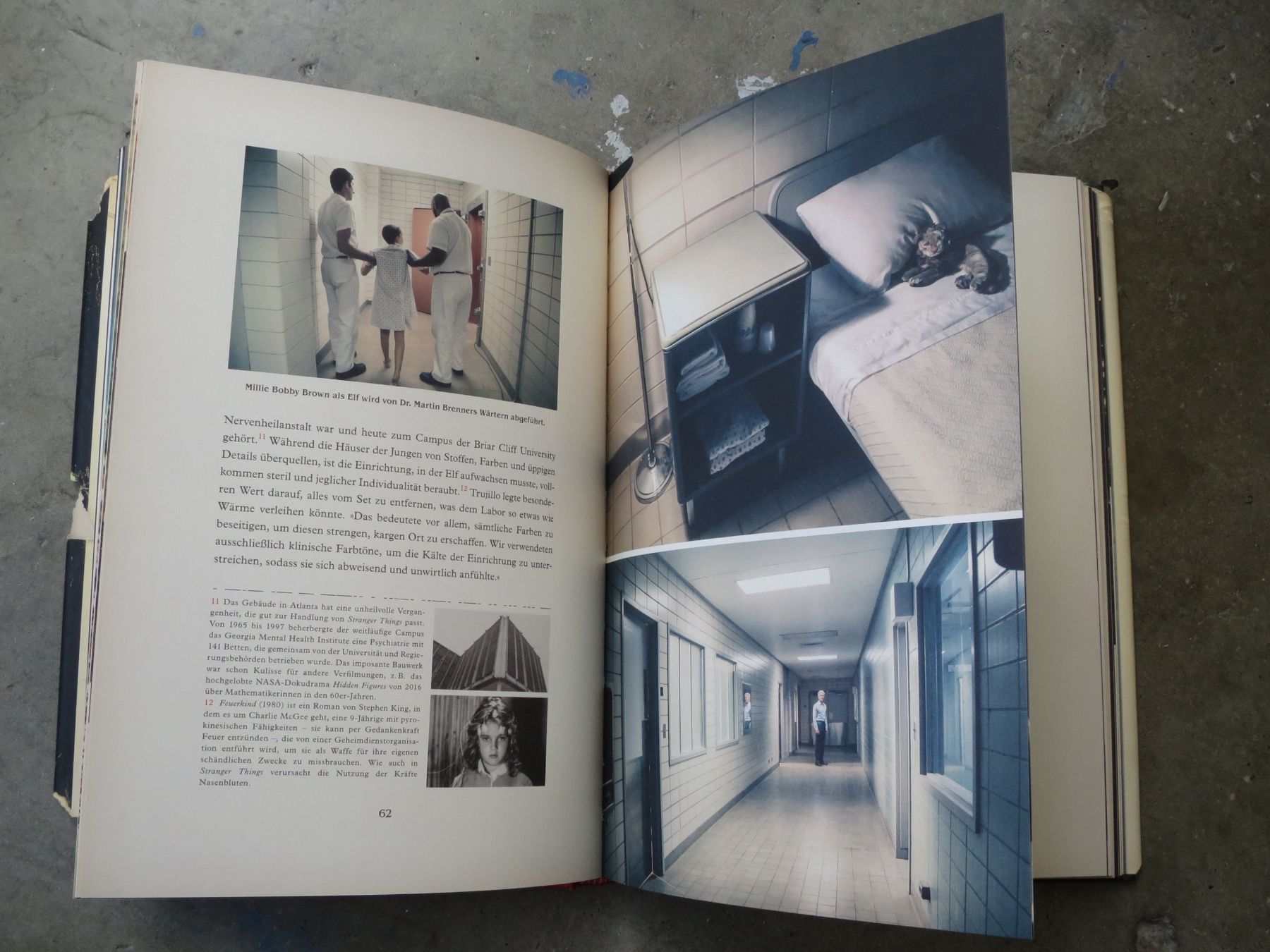 Libri: Stranger Things, Das offizielle Begleitbuch – Usato da Basel venduto da thi_7n89 2