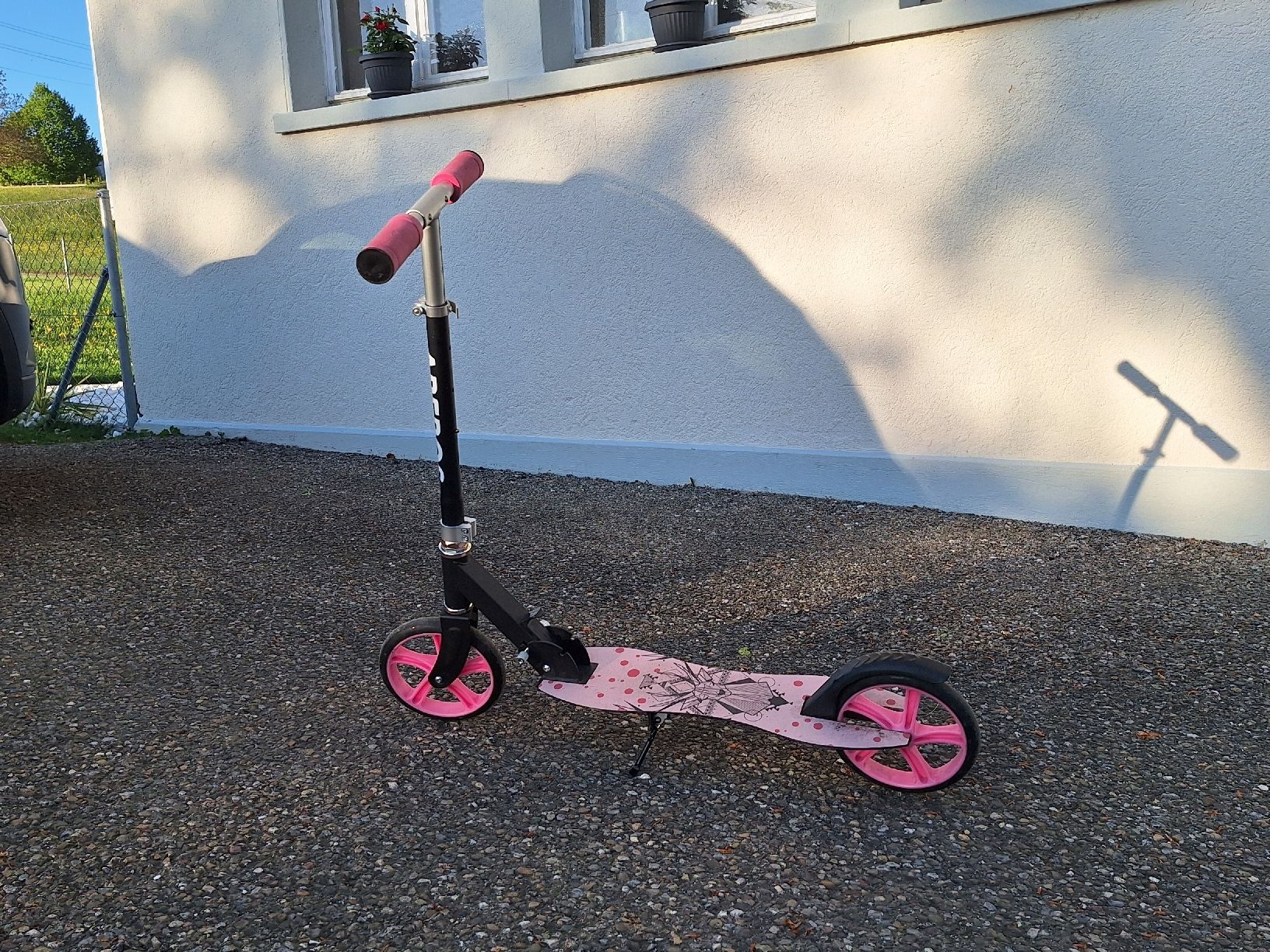 Kickboard: Trotti – Usato da Bauma venduto da SteffiMue