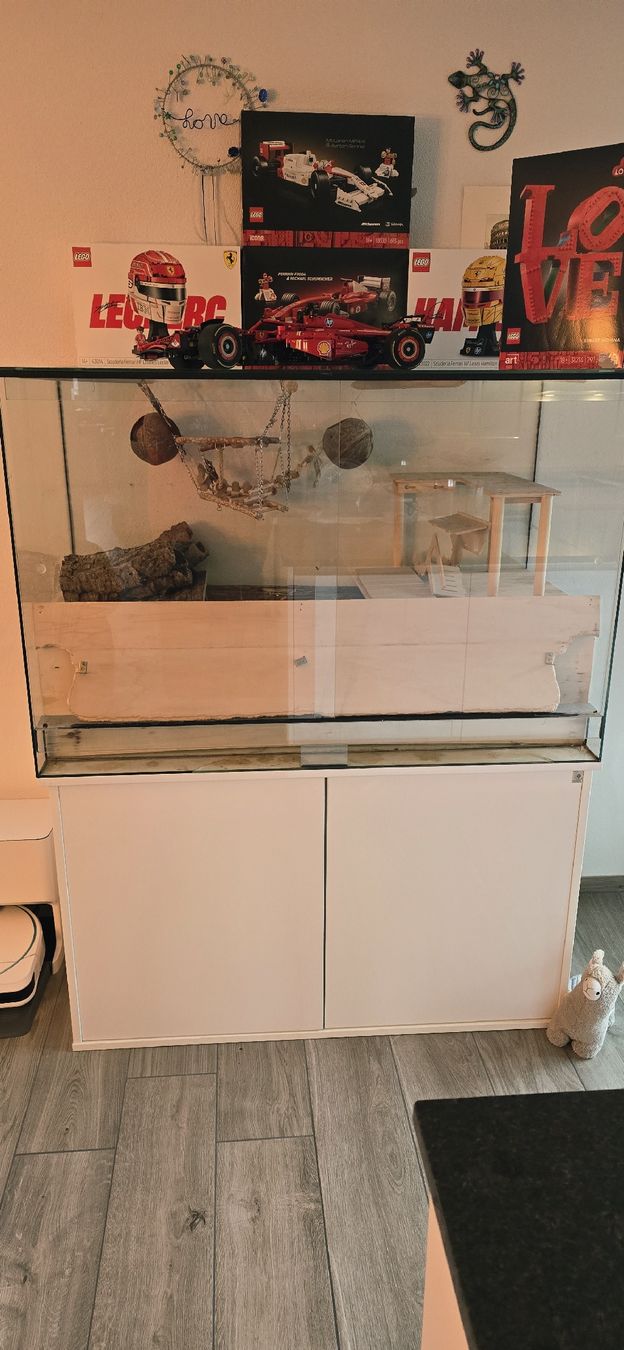 Terrario: Terrarium mit Üntermöbel 120x80x60 – Usato da Näfels venduto da PACCIONE1984