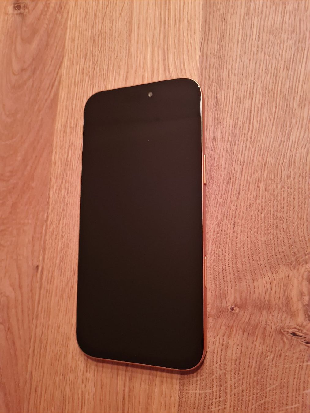 Apple Telefoni cellulari / Smartphones: iPhone 17 pro max 2tb neuwertig – Nuovo (secondo la descrizione) da Titterten venduto da mro_2csc 4