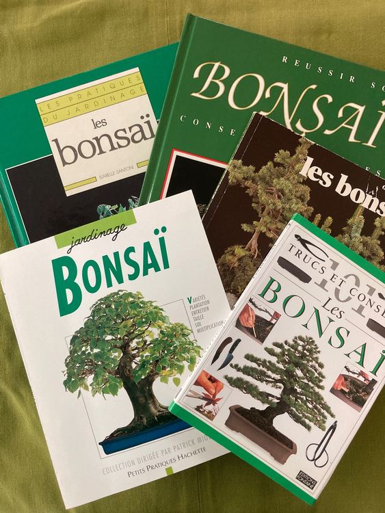 5 livres sur les bonsaï Kaufen auf Ricardo
