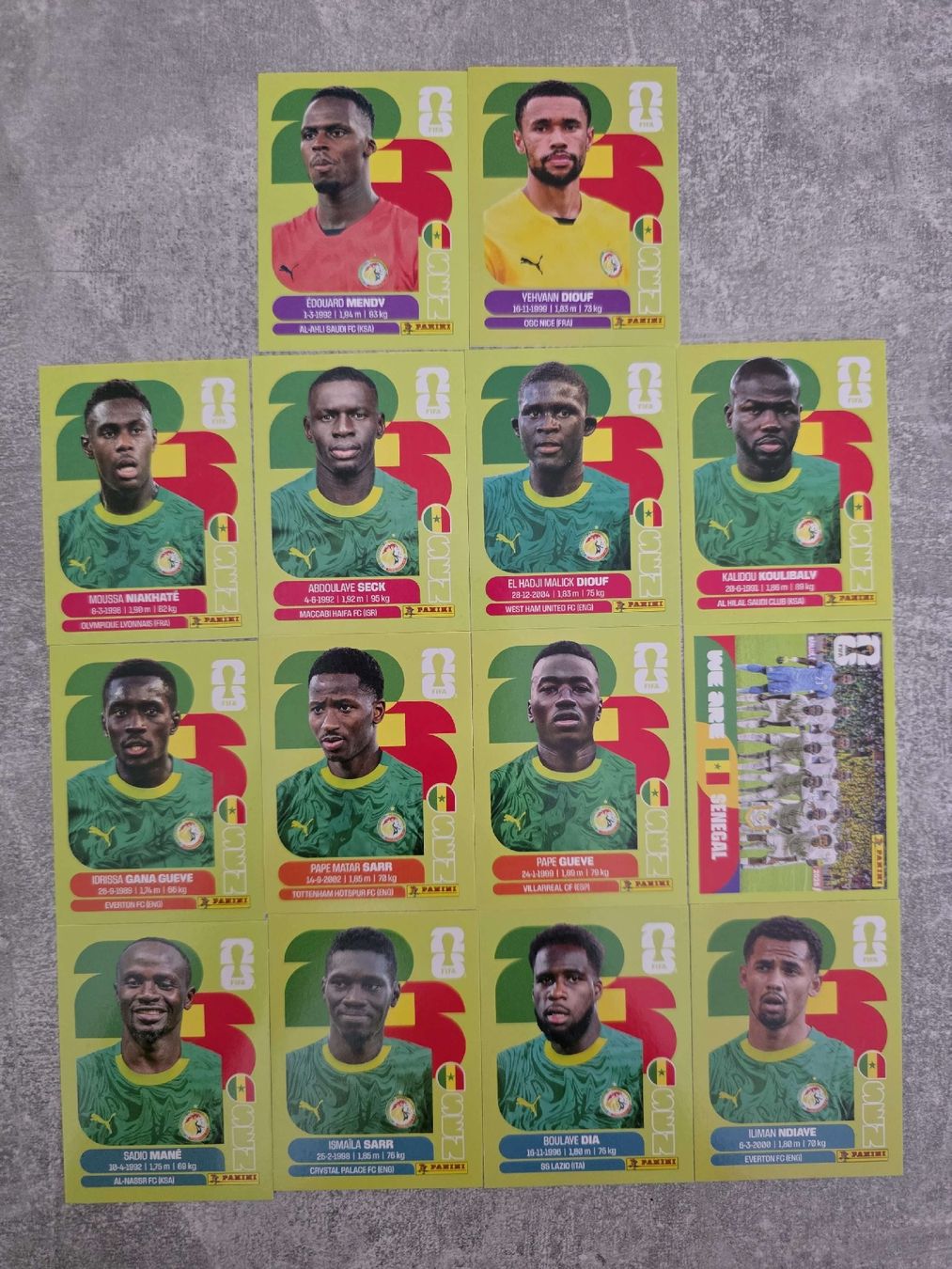 Panini Carte collezionabili: Panini WM Sticker von Senegal – Usato da St. Gallen venduto da Shelly__x3
