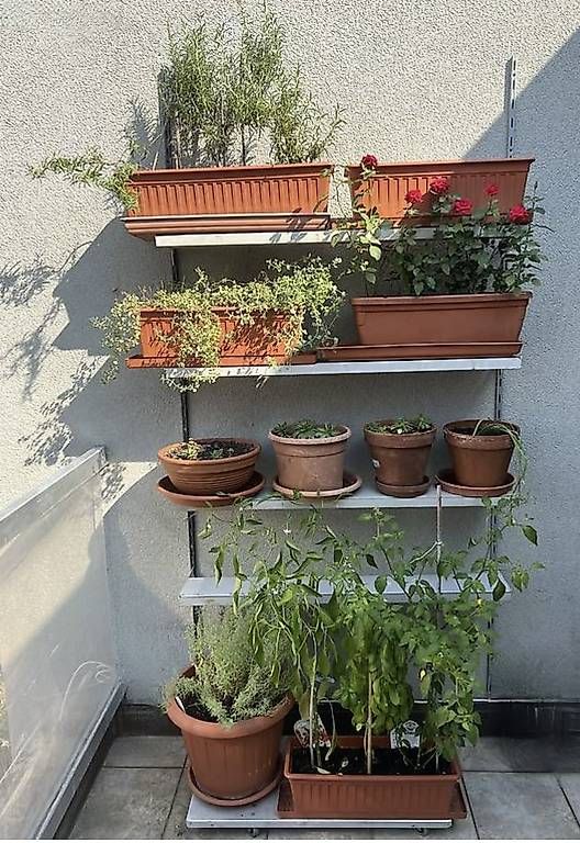 Scaffali: Scaffali usati completamente in metallo. – Usato da Lugano venduto da egi_zk9d 1