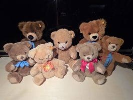 7 Steiff Bären Brüder suchen Zuhause 
