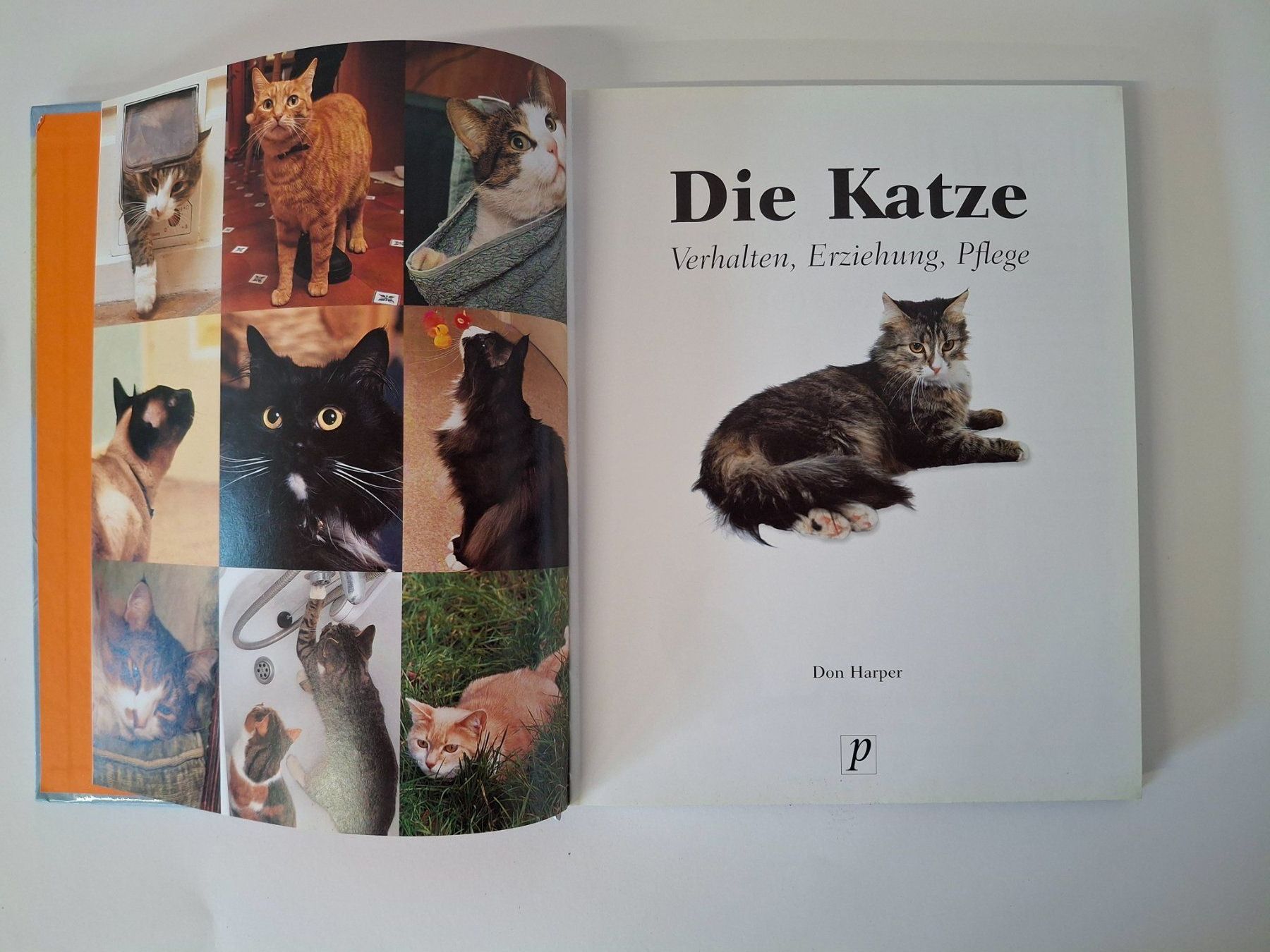 Libri: Die Katze - Verhalten, Erziehung, Pflege – Usato da Reichenburg venduto da AK307 1