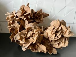 Grande et magnifique Rose des Sables, # formes sous # angles