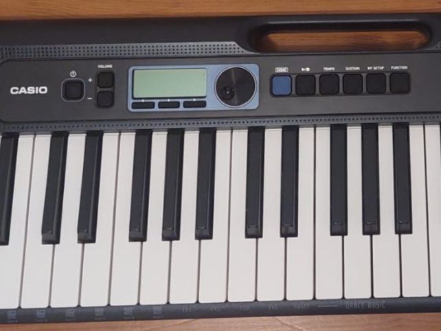 Casio Musikinstrumente: Casio CT-S300 Keyboard mit Zubehör – Gebraucht aus Olten von beeny157