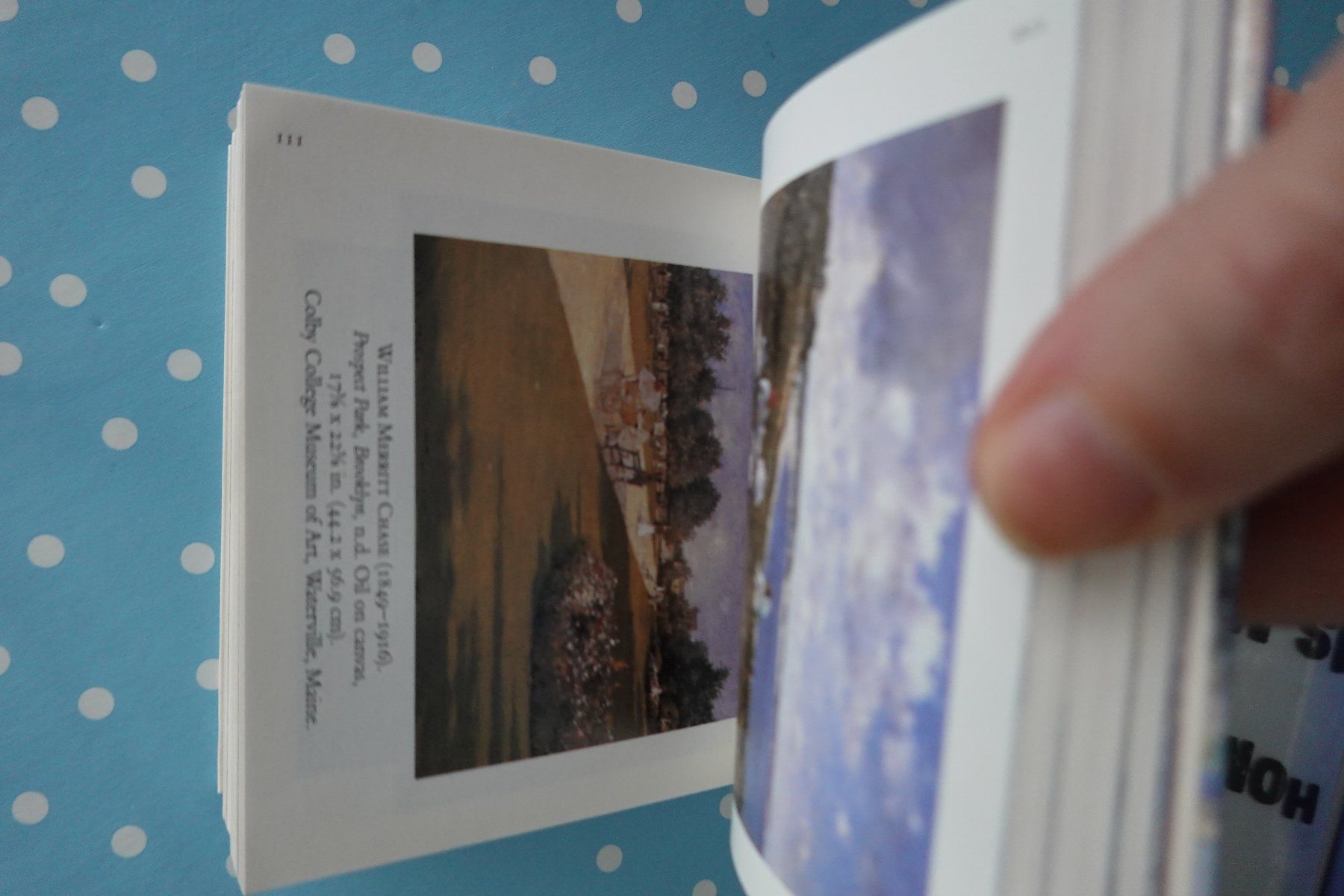 Livres: American Impressionism Kunstbuch engl. Impressionismus – D'occasion à Jona par JOberg_25 2