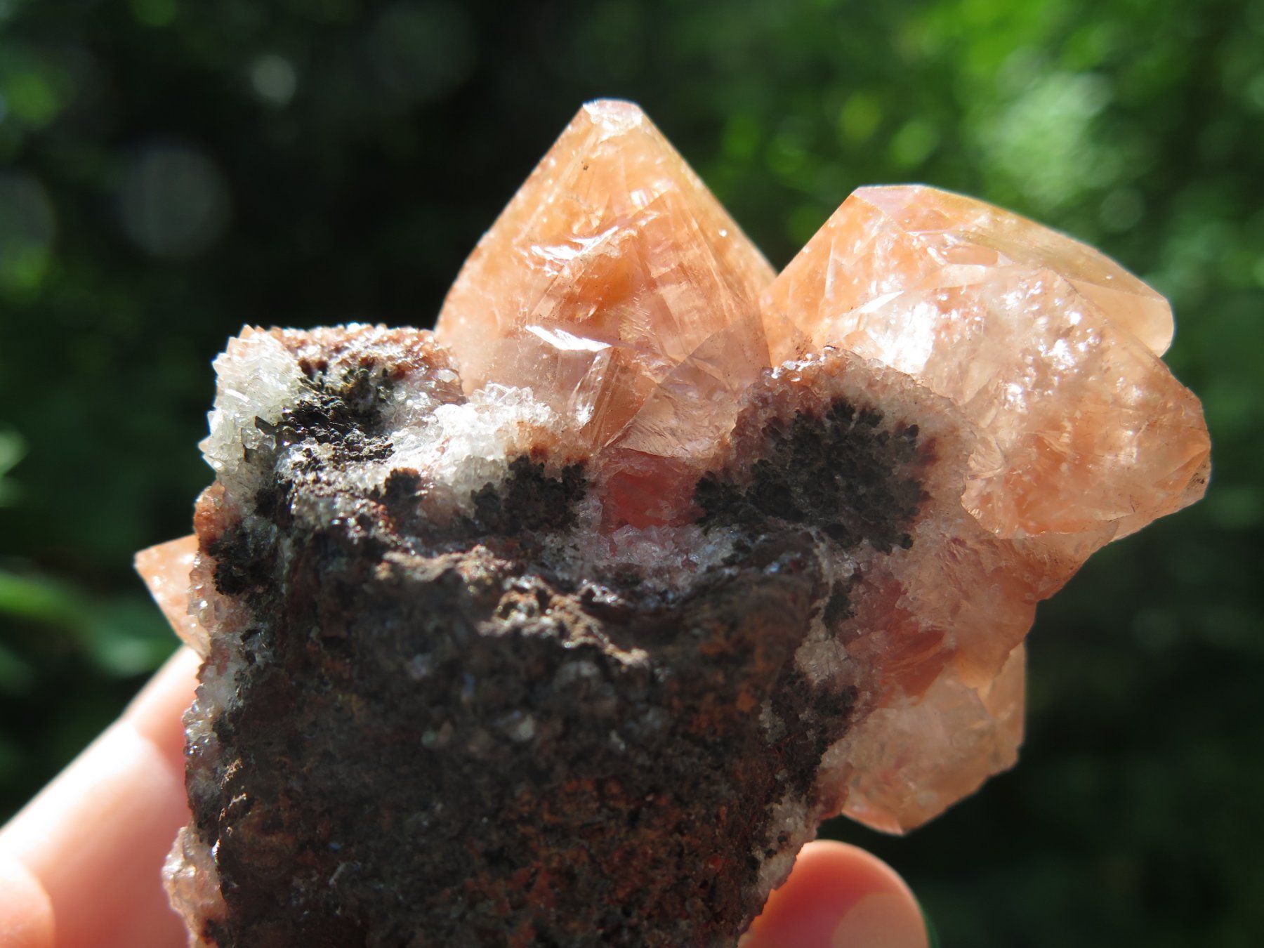 Minerali & Pietre curative: Rötlicher Calcit mit Hämatit Einschlüssen von Mexico – Usato da Schaffhausen venduto da Yamakana51L8736OQ8 6