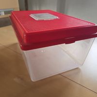 Praktische Transportbox für Kleintiere und Reptilien