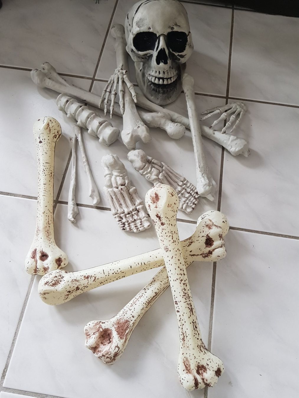 Tutte le decorazioni: HORROR/ HALLOWEEN KNOCHEN-SET – Nuovo (secondo la descrizione) da Root venduto da LifestyleAccessoires