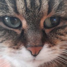 Profile image of Flejta
