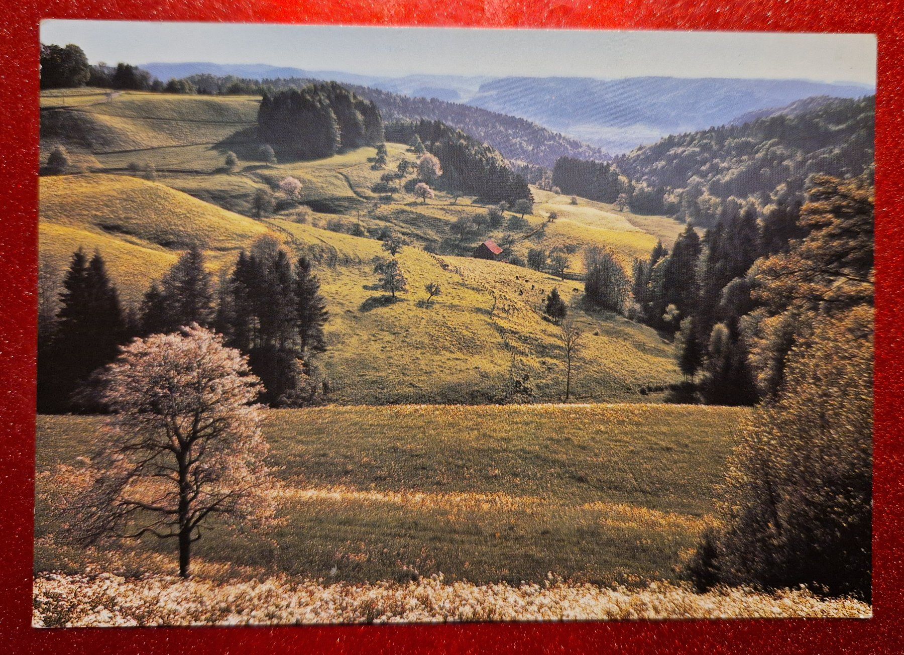 Ansichtskarten: Zürcher Oberland bei Sitzberg 1987 – Neu (gemäss Beschreibung) aus Melchnau von Arthurius