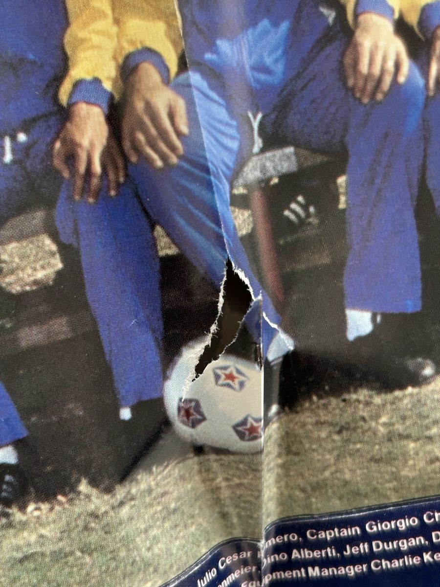 Riviste & Magazine: vintage Cosmos Official Yearbook 1981 – Usato da Bern venduto da spraydose 6