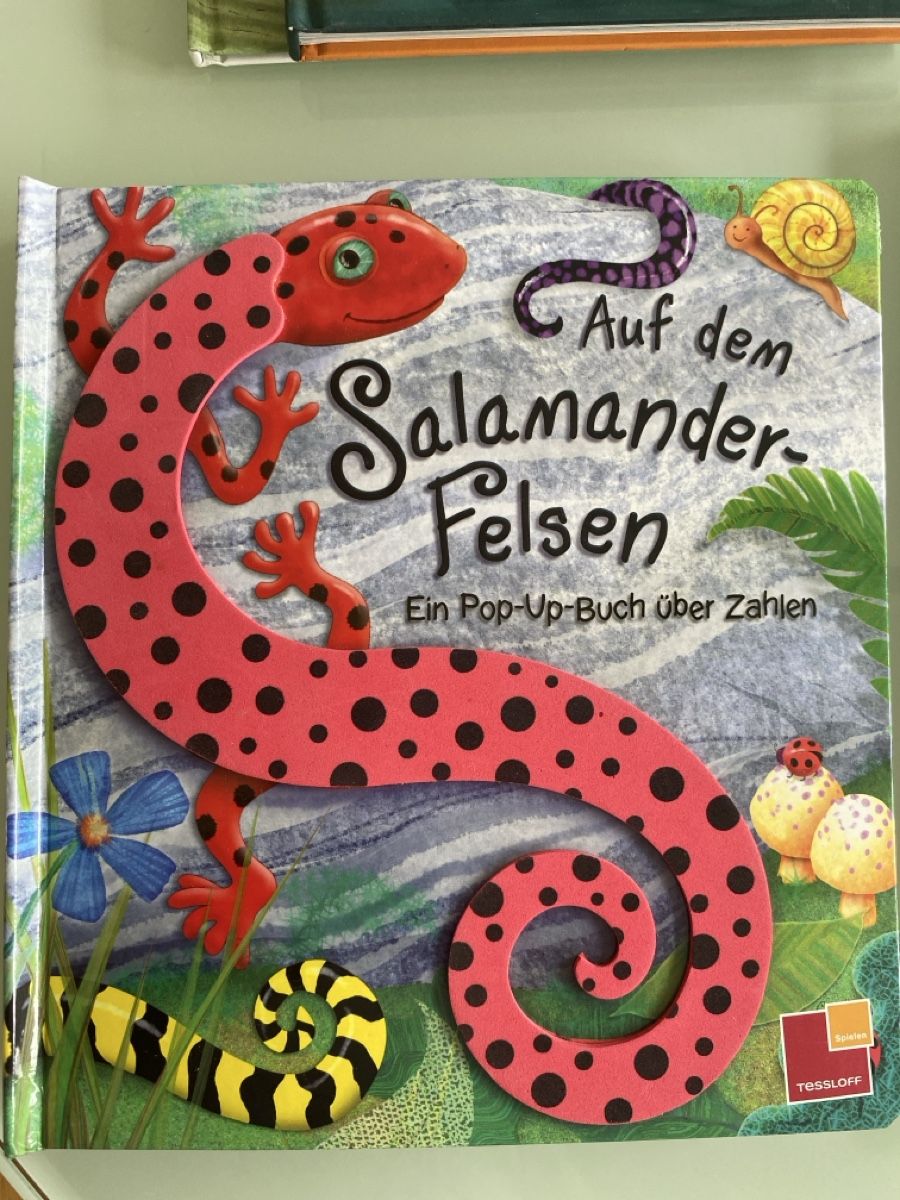 Libri: Pop-up Buch "Auf dem Salamander-Felsen" – Usato da Schmerikon venduto da SwissKFO