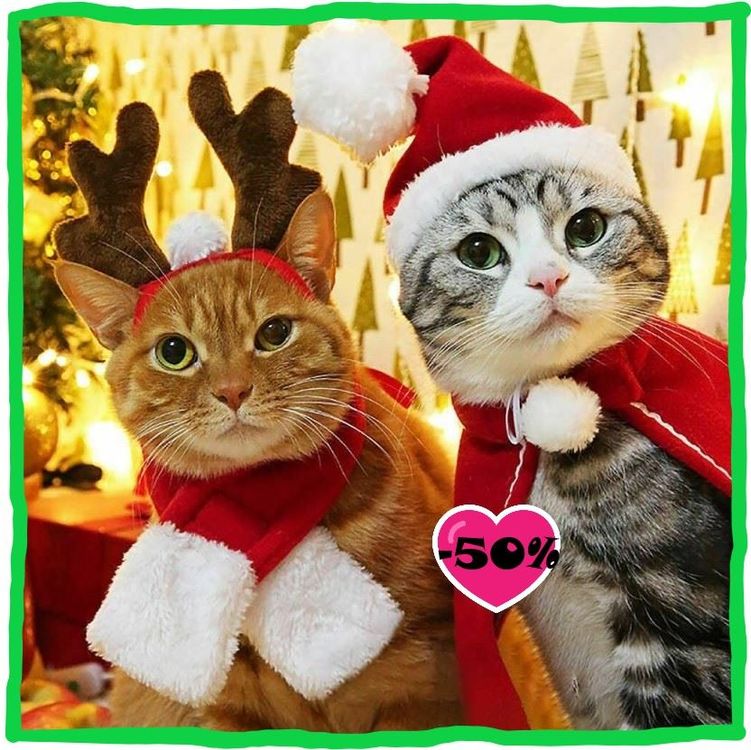 Chapeau de Noël pour Chat Acheter sur Ricardo