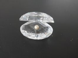 Swarovski - Muschel mit Perle  *Sammlerstück*