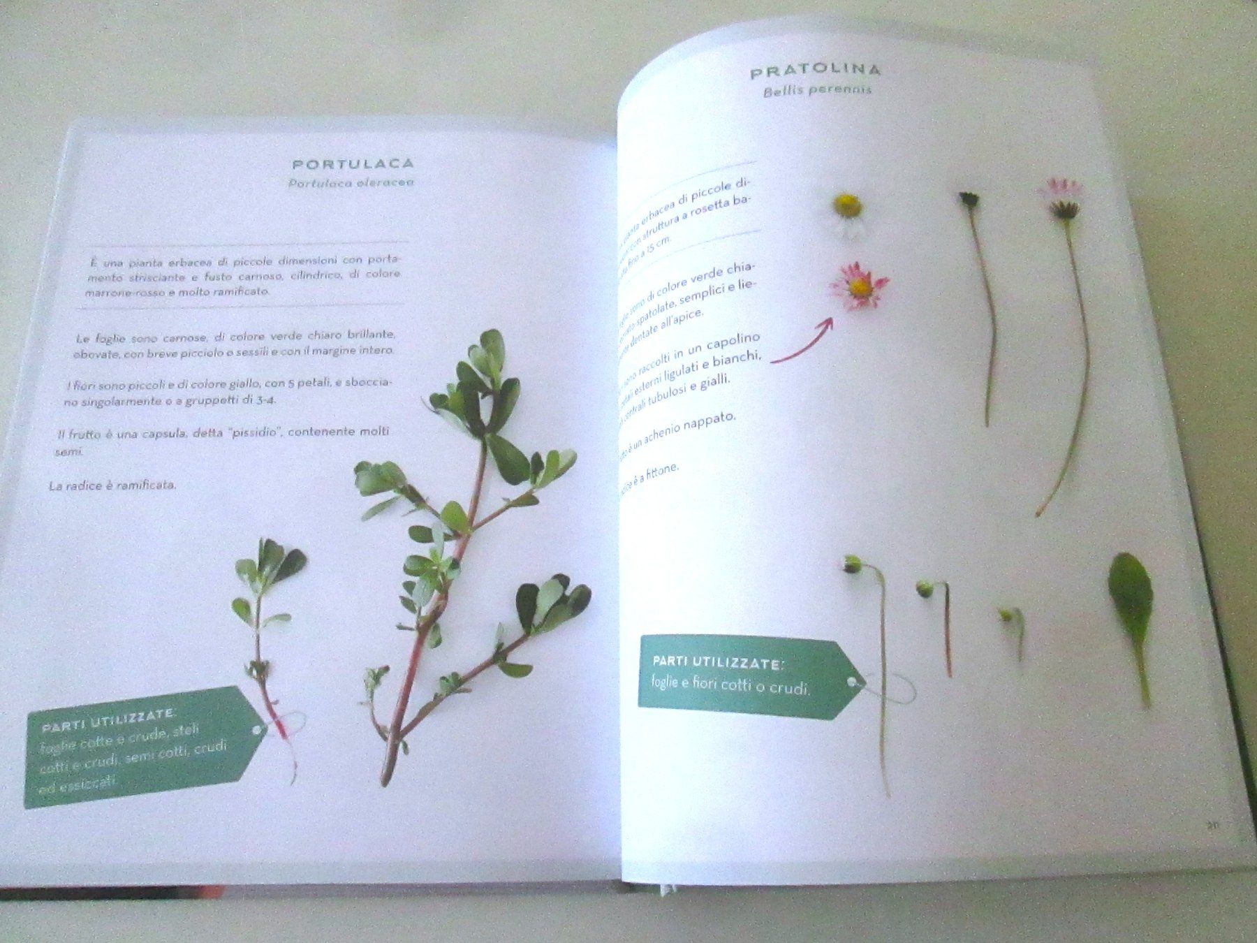 Livres: Cucinare il giardino – D'occasion à Sementina par babucia 5