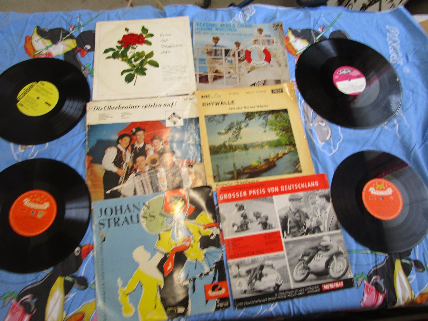 Dischi in vinile: Schallpatten Sammlung ältere LP – Usato da Rupperswil venduto da Ema10 8