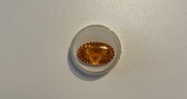Citrin (goldgelb) / 15.92 Karat