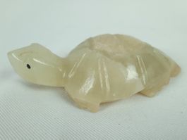 Steinschildkröte Jade