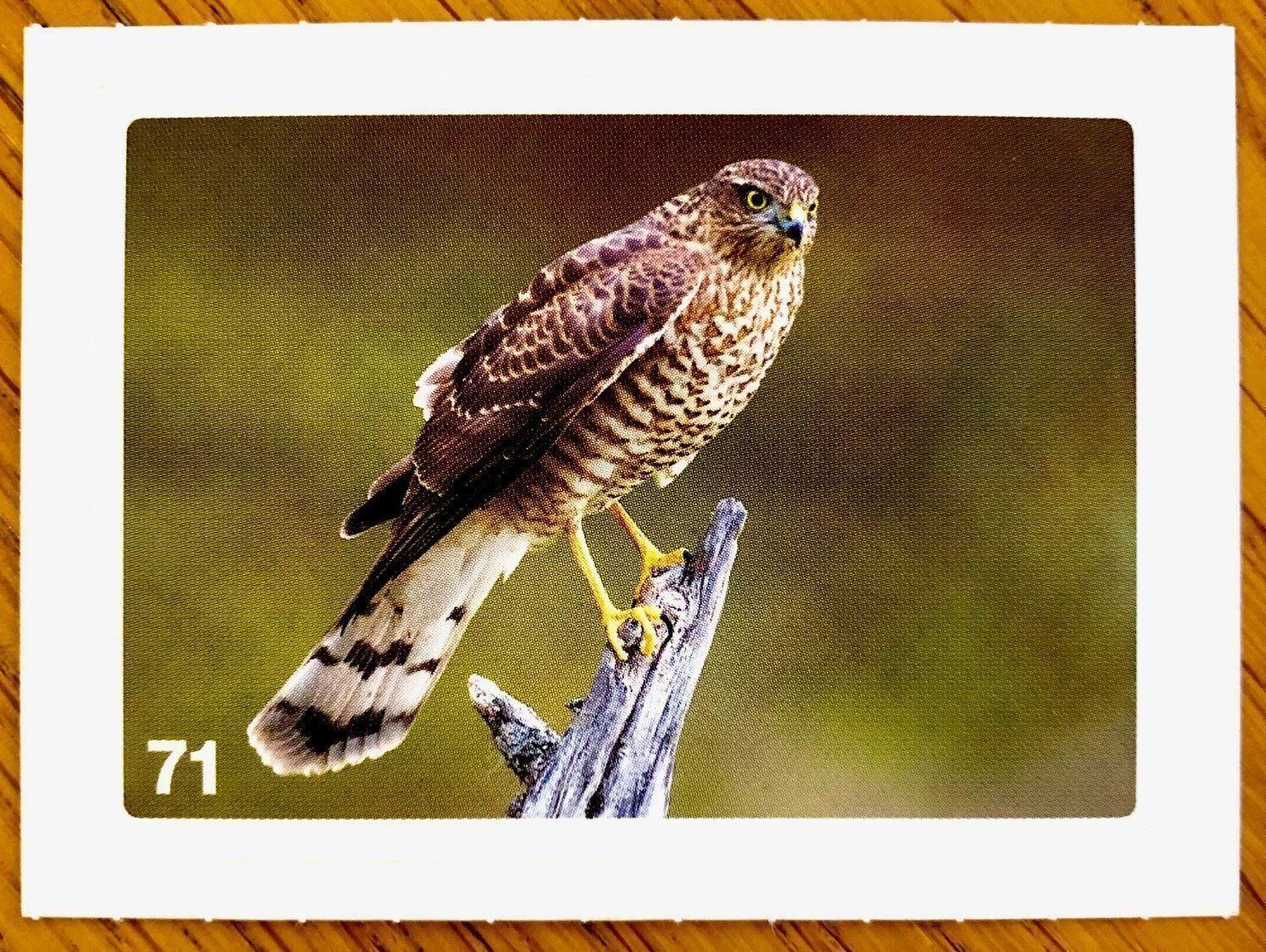 Migros Carte collezionabili: Migros Nature Detectives - Bild Nr. 71 – Nuovo (secondo la descrizione) da Oberrieden venduto da Zimmerberg10