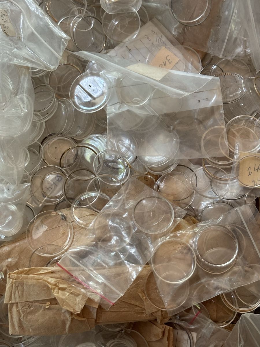 Montres: Lot Uhrengläser – Neuf (Voir description) à Rüti b. Büren par CenicAG 2
