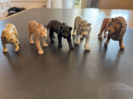 Schleich Raubkatzen 