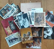Vintage Katzen Karten