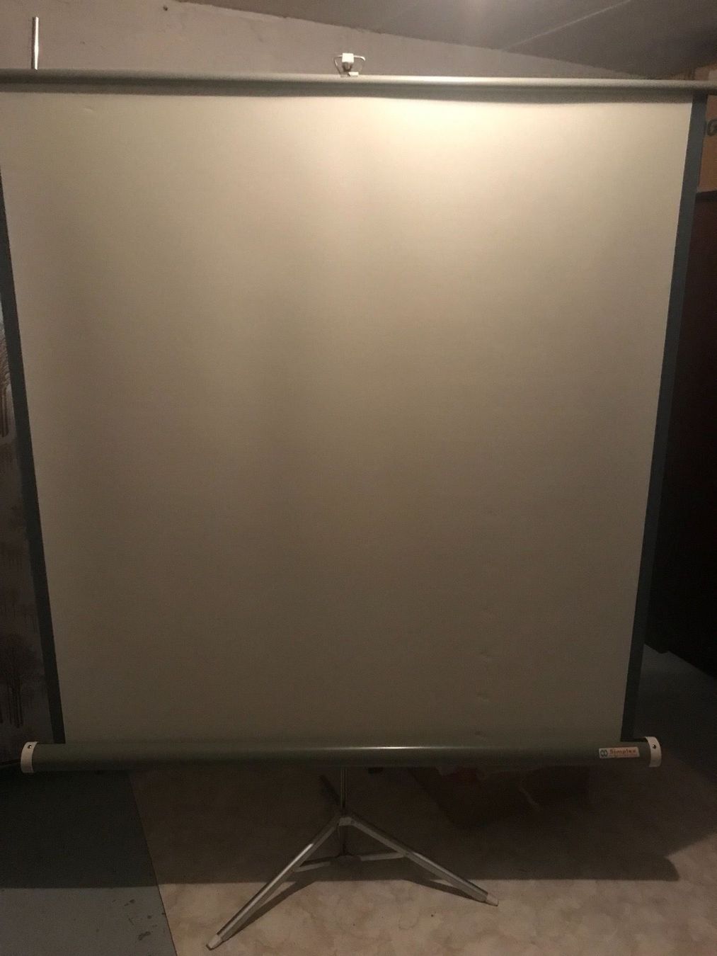 Home Cinema: Simplex Leinwand – Usato da Neuenhof venduto da Himmel2