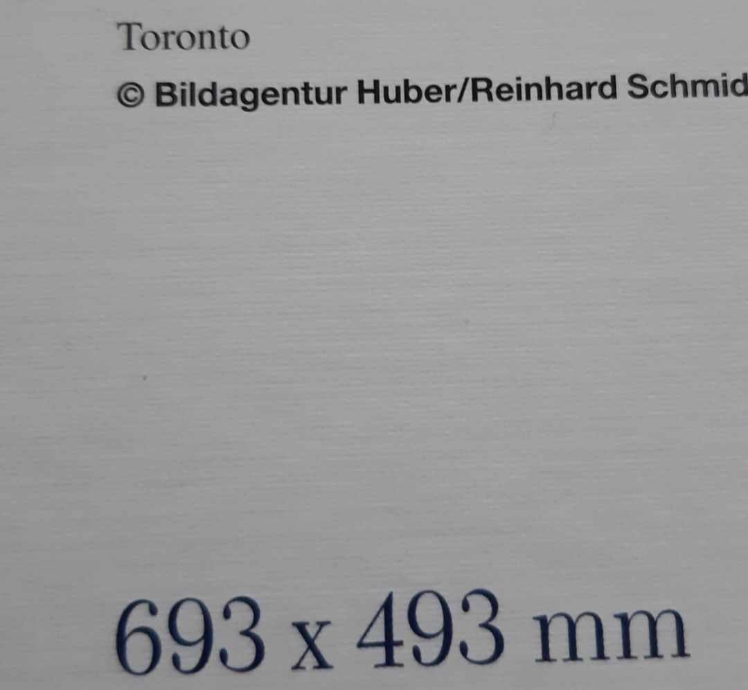 Puzzle: Puzzle "Toronto" 1000 Teile – Usato da Bütschwil venduto da Taranabo 1