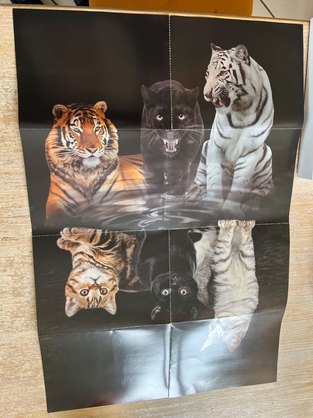 Puzzle: Jigsaw Puzzle Katzen-Tiger 1000 Teile – Usato da Eschenbach SG venduto da Joey-Li 1