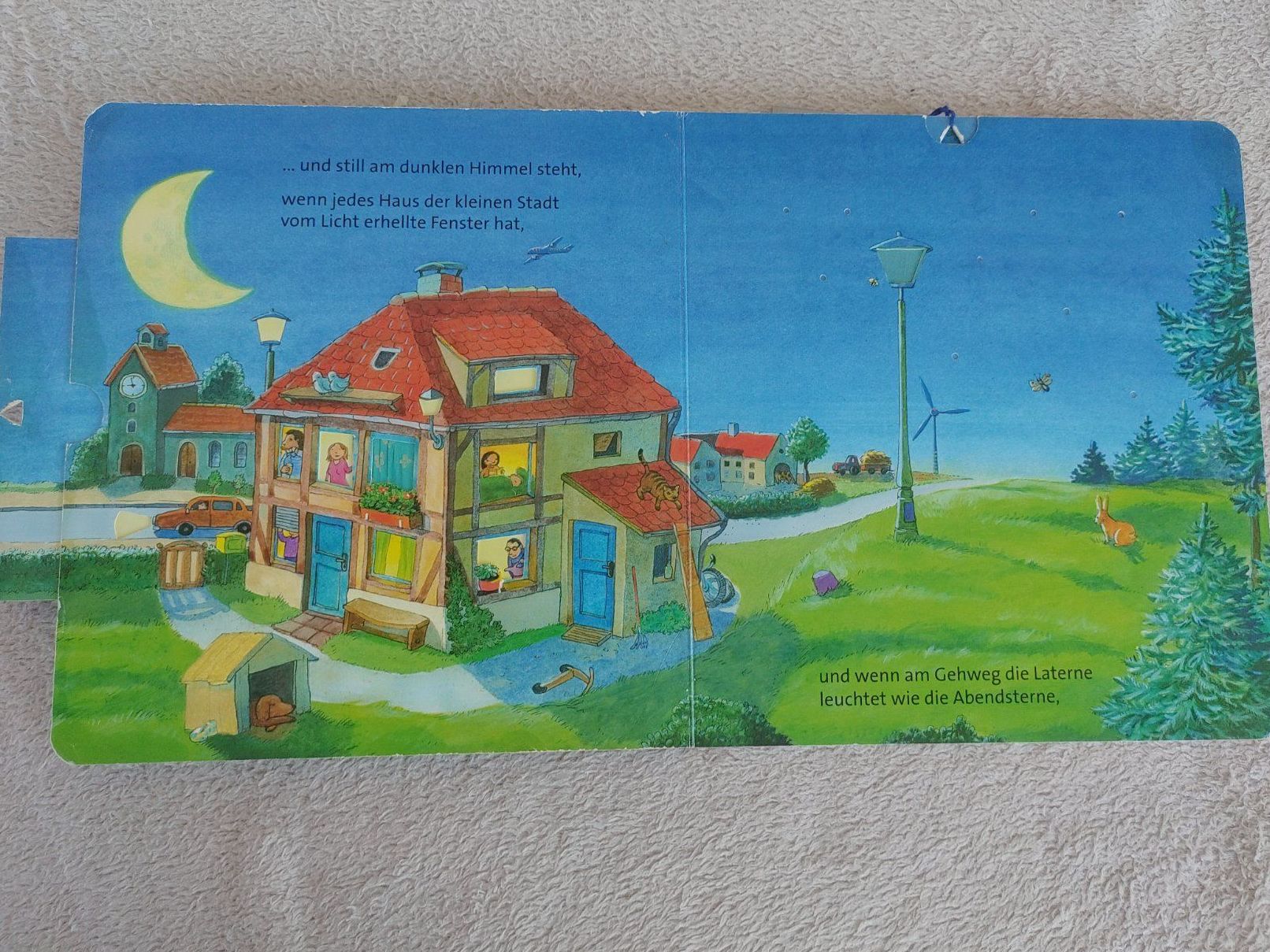 Libri: Buch: Abends, wenn der Mond aufgeht – Usato da Strengelbach venduto da Phorensic_30 6