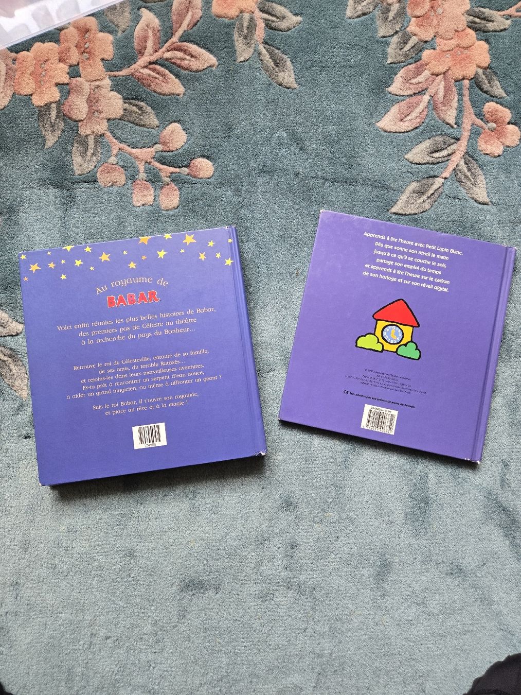Libri: Lot de 2 livres  – Usato da Sion venduto da Oonathoo 1