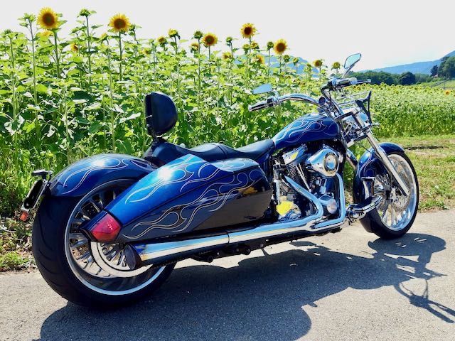 Chopper: Midland (Big Bear) Chopper G.T.X. – Usato da Merligen venduto da lejrg 2