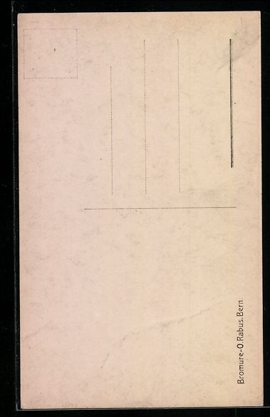 Cartoline postali: AK Bern, Klapperläubli – Usato da Berlin venduto da bartko-reher 1