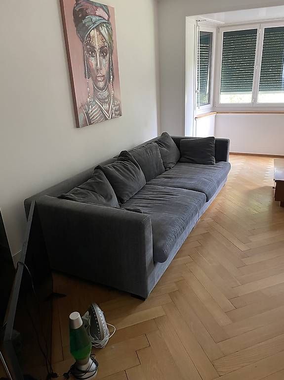 Interio Divani: Sofa Stoff grau – Usato da Kehrsatz venduto da Samsamster