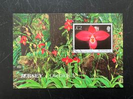 Briefmarken GB - Jersey 2004 Mi Block 44 Erstag  (A811)