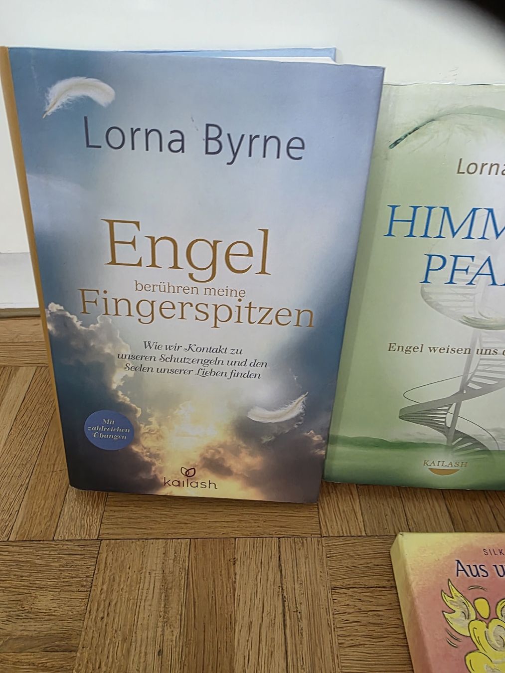 Bücher: Bücher – Neu (gemäss Beschreibung) aus Rüti ZH von car_gl78
