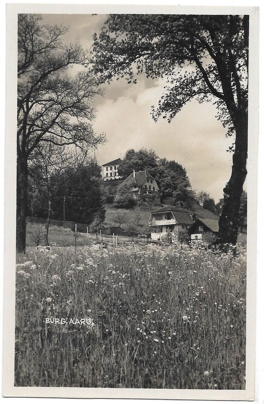 Ansichtskarten: Burg Teilansicht – Gebraucht aus Olten von clotaldi