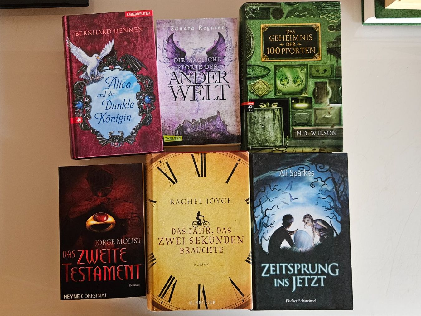 Libri: Fantasie Bücher 6 Stück – Usato da Basel venduto da True_Hofer_Store
