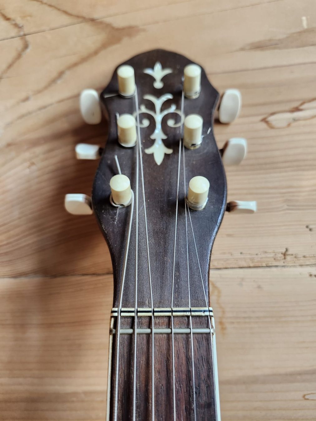 Instruments de musique: 6 string Banjo - banjitar – D'occasion à Goldswil par haydontiger