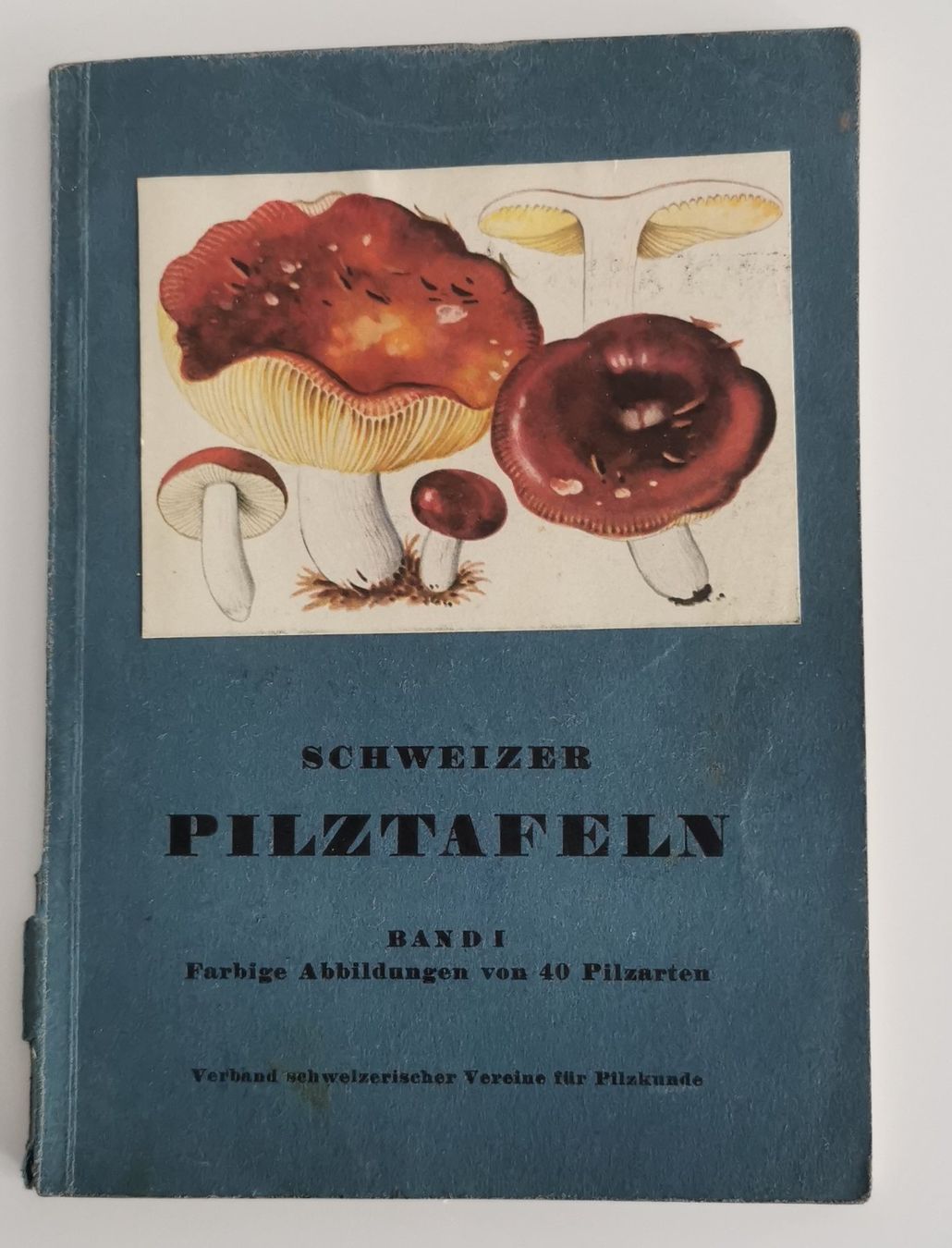Libri: altes Pilzbuch – Usato da Aadorf venduto da Chnorli-Furz
