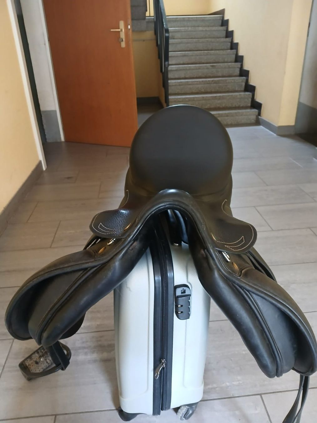 Selle & Accessori: Selle prestige mixte 16,5" – Usato da Villars-burquin venduto da van_598z 3