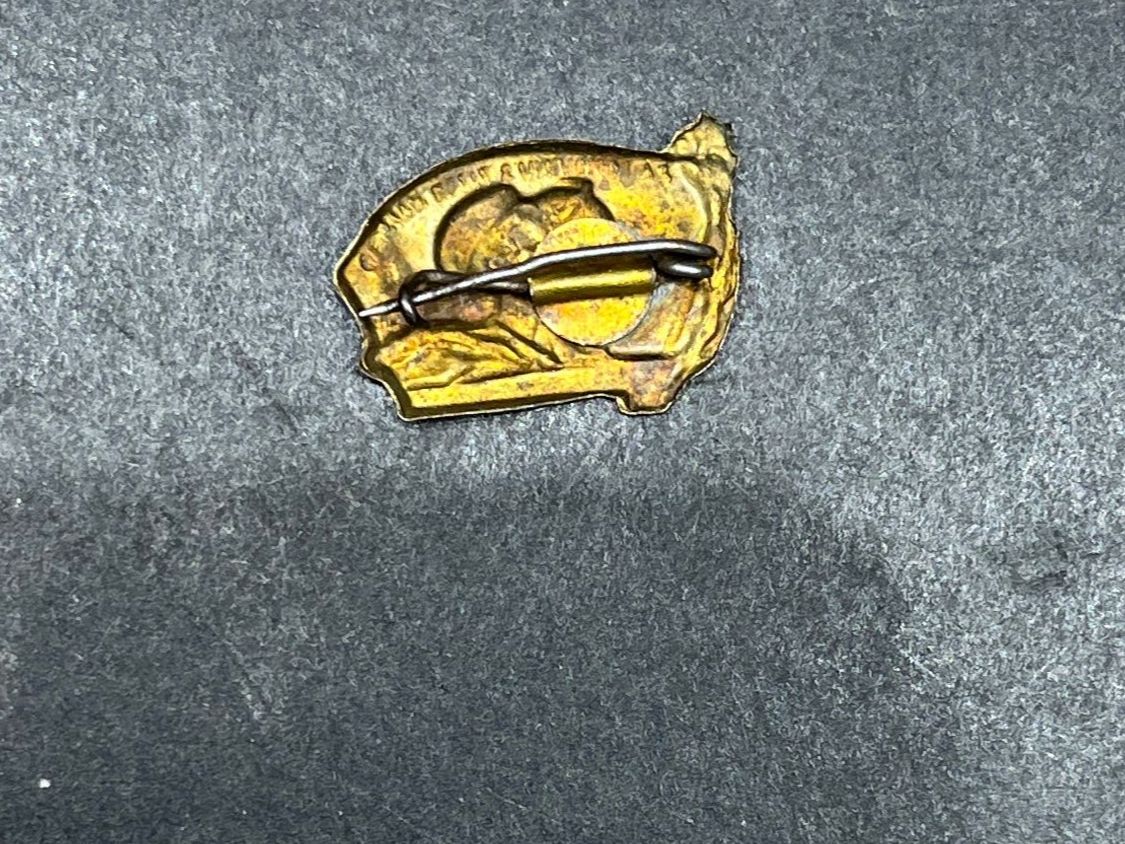 Placchette & Badge: Abzeichen jugoslawische Pioniere – Usato da Muttenz venduto da Bhuebi 1