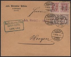 Mischfrankatur Ziffermuster 1908 Buchs Güterexped.